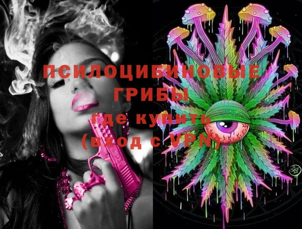 стаф Вяземский