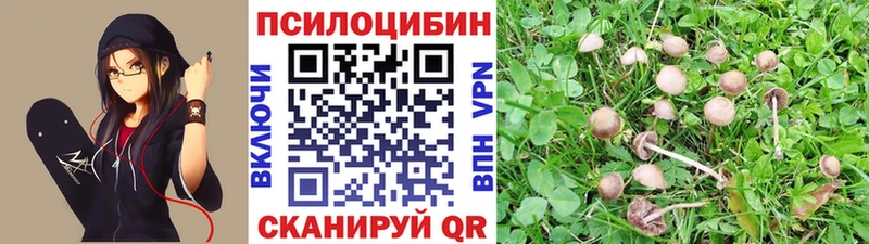 закладка  Коломна  Псилоцибиновые грибы мицелий 